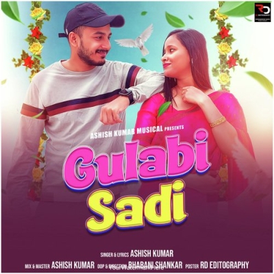 Gulabi Sadi