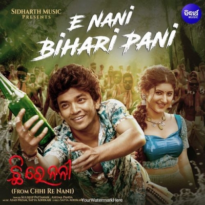 E Nani Bihari Pani