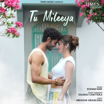 Tu Mileeya