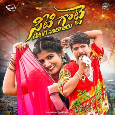 Seeti Gotte Donga Narigadu