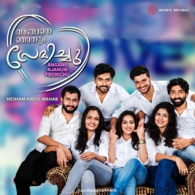 Panjaara Kanavulla (Instrumental)