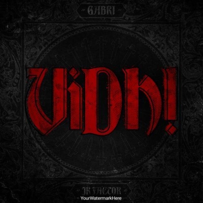 Vidhi