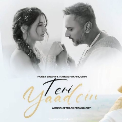 Teri Yaadein
