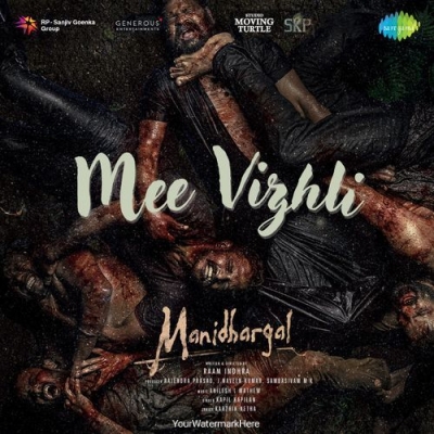 Mee Vizhi